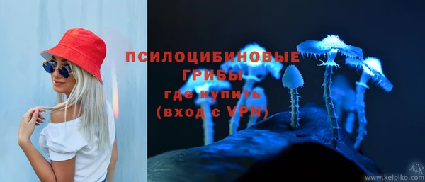 Альфа ПВП Козловка
