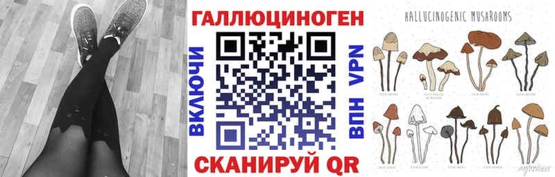 Псилоцибиновые грибы Cubensis Нестеров
